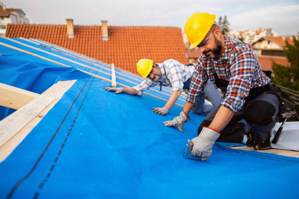Best Roof Ventilation Installation  in Galesburg, IL