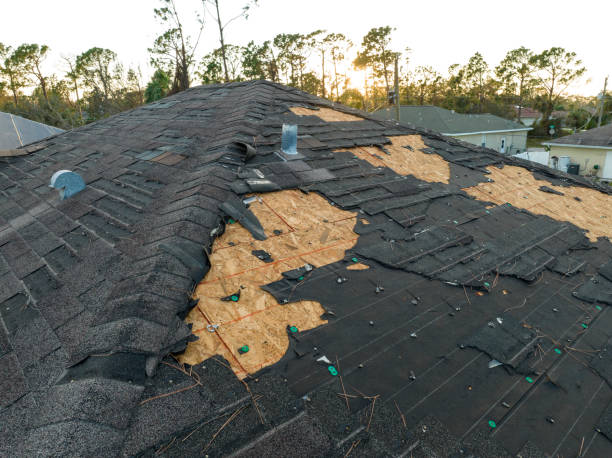 Best Roof Moss and Algae Removal  in Galesburg, IL