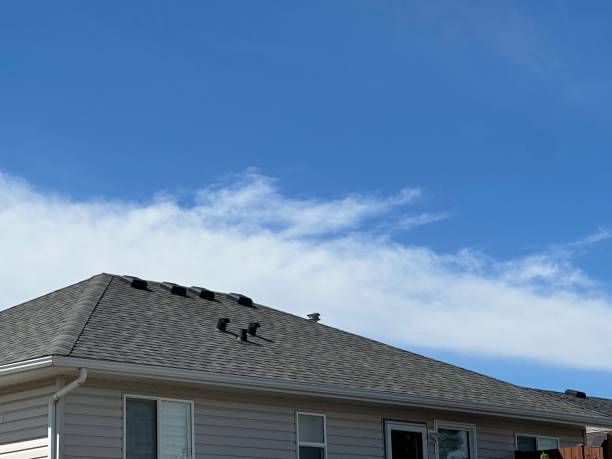 Best Roofing for New Construction  in Galesburg, IL